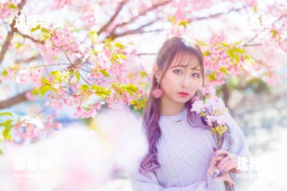 月城委员会 这合集太不科学了!月城委员会的狐娘巫女美图