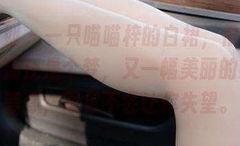 紧急企划 – 一只喵喵梓的白裙，很难说是个小清新还是个梦，又一幅美丽的原图在等你，图包不会让你失望。