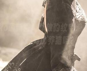 菌烨tako最新图集释放豹纹电波，停一下，你想对比养猫吗？